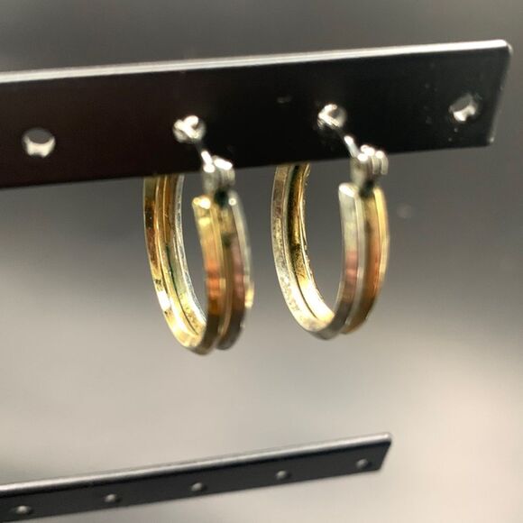 Double Hoops earrings - Picture 1 of 5
